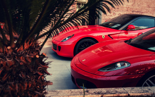 Red sports cars parking lot 3 - luxury free wallpaper