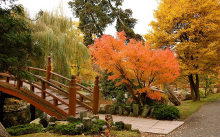 Wooden bridge pond autumn torii - a walkway free wallpaper