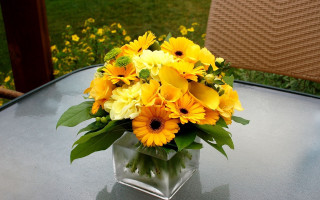 Yellow flowers vase outdoor sunny - a still life free wallpaper