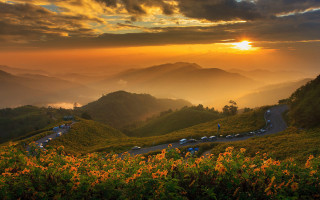 Mountain road sunset flowers cloudy - scenic free wallpaper