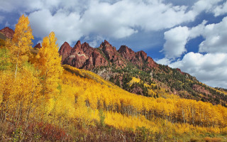 Mountain forest autumn leaves cloudy - a forest of trees free wallpaper