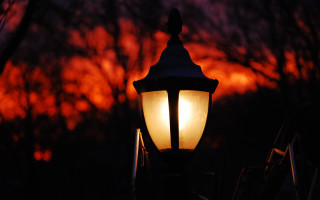 Red sky streetlight autumn leaves - a street light free wallpaper