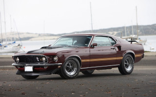 Maroon mustang brown stripe boat - the front of its free wallpaper