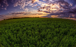 Field sunset clouds trees mountains - a green field in the foreground free wallpaper