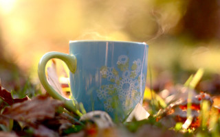 Blue coffee cup autumn bokeh - the sunlight free wallpaper