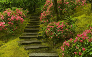 Lush hillside flower path puzzle - a lush green hillside free wallpaper