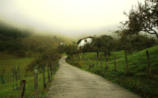 Lush green road trees house - bogi fabian free wallpaper