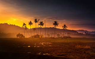 Palm trees house sunset mountains - a yellow sky free wallpaper