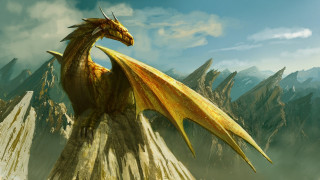 Yellow dragon mountain forest fantasy - top of a mountain next free wallpaper
