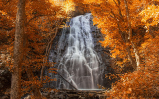 Waterfall trees orange leaves forest - waterfall free wallpaper for desktop