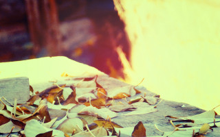 Leaves pile table firehydrant autumn - a pile of leaves free wallpaper