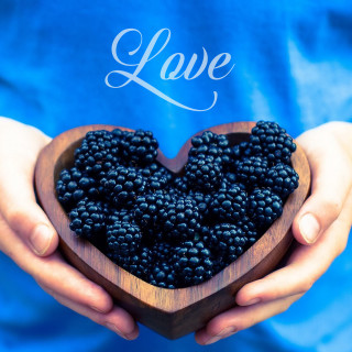Person holding blackberries love blue - a person holding free wallpaper for tablet