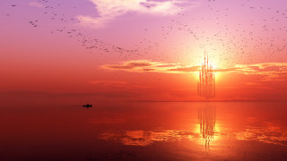 Sunset boat birds water person - a sunset free wallpaper for desktop