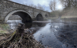 Bridge river tree stump fantasy - alexander johnston free wallpaper for desktop