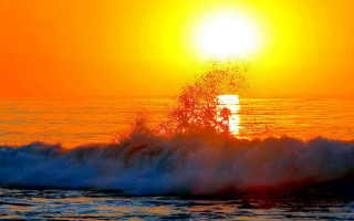 Sunset wave tree yellow sky - a yellow sky free wallpaper