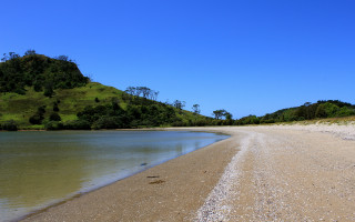 Sandy beach hill water bird - a sandy beach free wallpaper