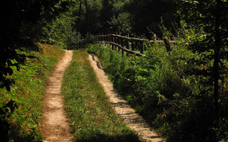 Dirt path wooden bridge forest - a dirt path free wallpaper