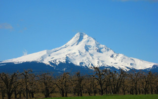 Snow covered mountain trees blue 3 - mountain in the distance free wallpaper