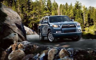 Blue toyota 4runner road forest - a.d.m. cooper free wallpaper