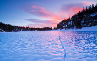 Sunset snowy lake trees pink - carl critchlow free wallpaper