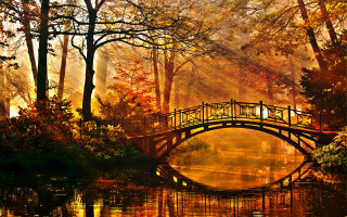 Bridge autumn leaves fall magic - magical atmosphere free wallpaper
