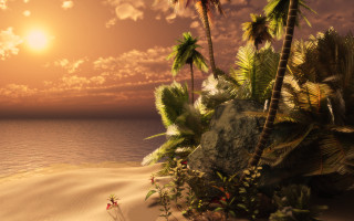 Tropical sunset palm trees ocean - tropical free wallpaper