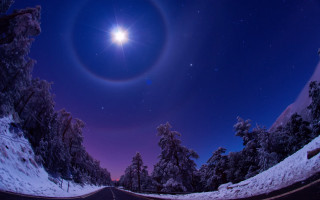 Bright circle road trees night - halo free wallpaper