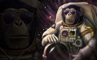 Monkey space suit sunglasses astronaut 2 - wearing free wallpaper