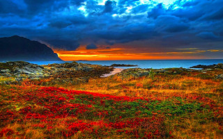 Red flowers mountain cloudy sky - mystical free wallpaper for desktop