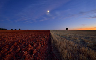 Moon horizon ocean silhouette twilight - albert namatjira free wallpaper