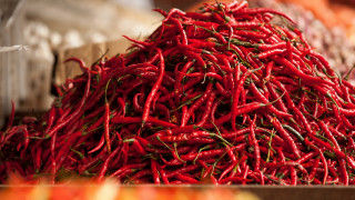 Red peppers autumn flame mountain - a pile free wallpaper
