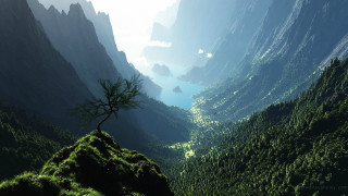 Tree mountain valley river background - a mountain top free wallpaper