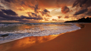 Beach waves sunset clouds trees 5 - wave free wallpaper