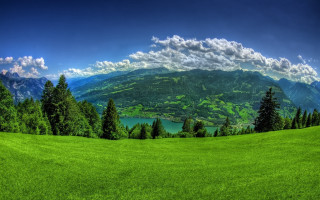 Green field trees mountains lake 2 - tree and mountains free wallpaper for desktop