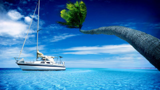 Boat palm tree blue sky - the boat free wallpaper