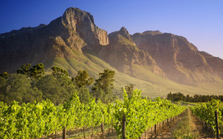 Vineyard mountains blue sky clouds - vine free wallpaper