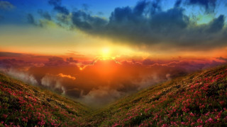 Sunset grassy hill flowers clouds - colorful cloud free wallpaper