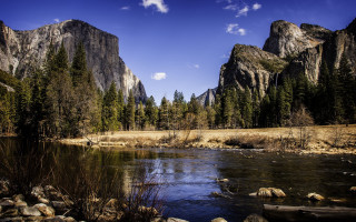 River forest mountains sunny day - sunny free wallpaper for desktop