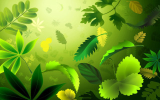 Green leaves flowers yellow background - free minimalism wallpaper