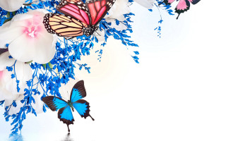 Butterflies flower reflection blue yellow - felipe seade free wallpaper for desktop