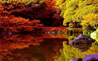 Pond bridge rock autumn leaves - a pond free wallpaper for desktop