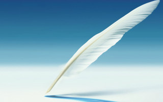 White feather blue sky ocean - a white feather free wallpaper