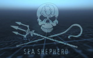 Skull arrows sea shepherd blue - a skull free wallpaper