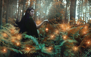 Woman forest lantern christmas fireflies - a woman in a forest free wallpaper