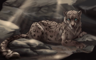 Snow leopard blue eyes rock - a rock in the snow free wallpaper