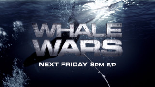 Shark whale wars poster next - a shark free wallpaper