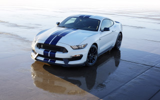 White mustang blue stripes parking - blue stripe free wallpaper