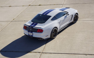 White mustang blue stripes shadow - blue stripe free wallpaper