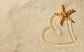 Starfish sand heart beach magic - a starfish free wallpaper