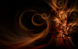 Flower swirls orange brown black - image of a flower free wallpaper